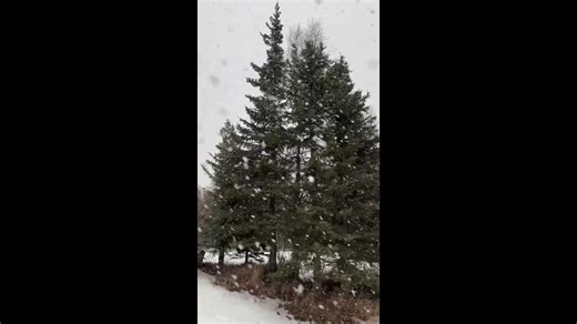 Heavy snowfall and strong winds hit Anchorage during ongoing storms in Alaska, USA