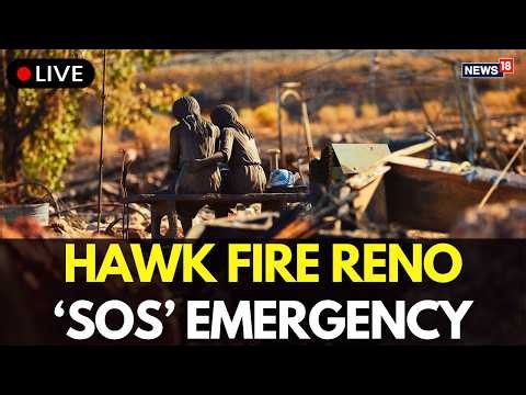 Reno Wildfire LIVE: Authorities Race To Battle Flames Ahead of Gusty Conditions In NEVADA | N18G