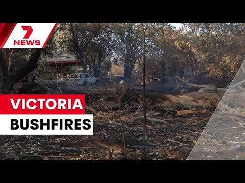 Victorian bushfires devastate communities and destroy homes | 7NEWS