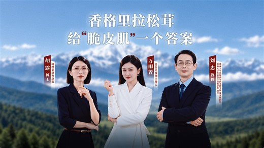 了不起的国货丨香格里拉松茸给“脆皮肌”一个答案
