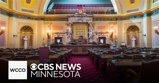 Minnesota Senate considers allowing children on floor to breastfeed