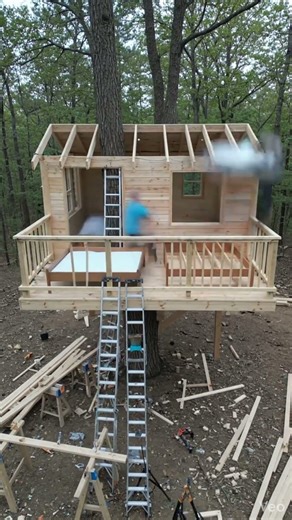 "Abandoned Treehouse Restored to Its Former Glory! 🌳