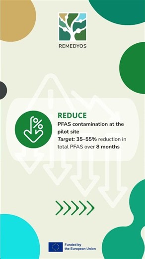Can PFAS Remediation Work in Real-World Conditions? | REMEDYOS Objective #5