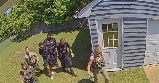 Video shows suspect's arrest in Hickory Hill backyard