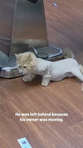 Jasper's Campaign Story [STORY BELOW]
