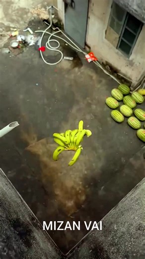 Experiment: Will the watermelon explode when it rolls down in a high-rise building? #reels | MIZAN VAI