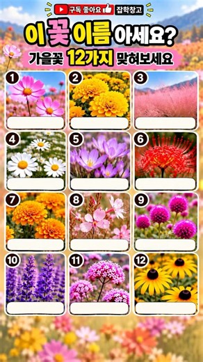 🌸 이 꽃 이름 아세요? 가을꽃 12가지 맞히기! 🌼 #가을꽃 #꽃이름퀴즈 #잡학창고