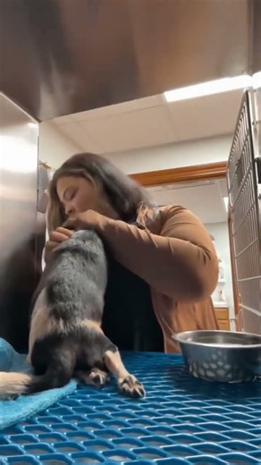 Paralyzed Dog Needs Wheelchair And Continued Therapy For The Chance To Walk Again [STORY BELOW]