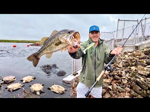 Dead Turtles Everywhere, Giant Bass and Huge Gators! (Catch & Cook) This Place is Crazy
