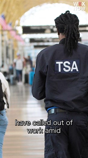 Delta cuts service allowing Congress to bypass TSA lines until funding is restored