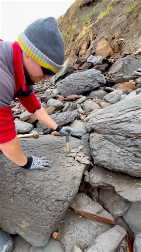We hunted for fossils on remote pebble beach filled with Jurassic Age fossils 😱