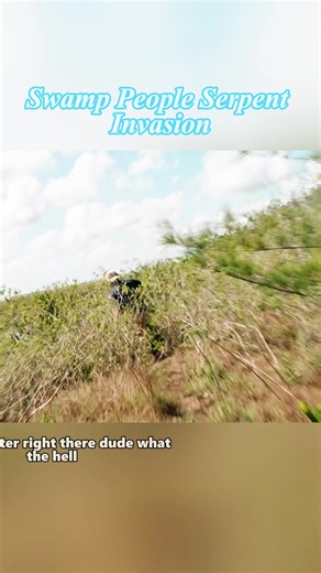 Python Hunt in the Everglades | Swamp Mysteries