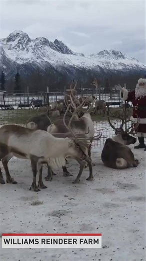 MAKE SURE THE KIDS CAN WATCH! Santa called a "team meeting" at Williams Reindeer Farm ahead of the big day. | LOCAL 12, WKRC-TV