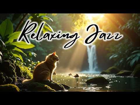 Relaxing Jazz | JAZZ BOSS RADIO