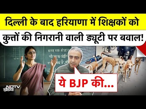 Haryana में शिक्षकों को Dogs की निगरानी वाली ड्यूटी? AAP का BJP पर हमला!| Stray Dogs|Top News