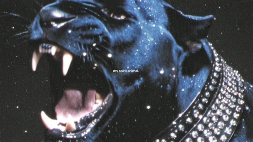 Exploring the Mystique of Black Panthers and Leopards