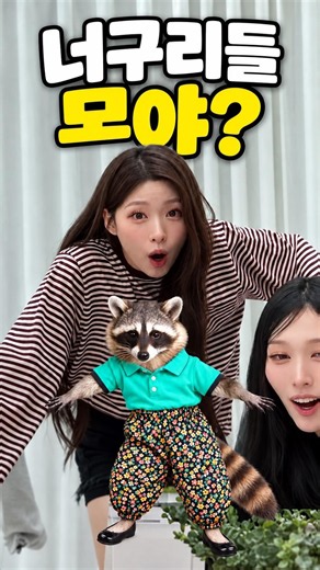 미나미 너구리 모야? 맴버 단체 리센느 안원잘부
