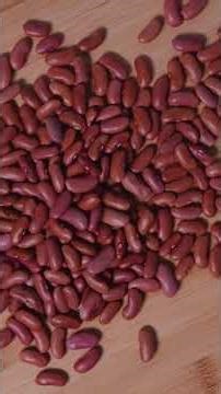 What is today?: Dry Bean Day – January 6th