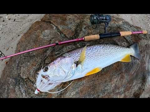 Surf Fishing Ignited by Nor'easter Storm! Great Run of These Fish!