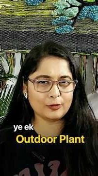 PEST FREE PLANTS FOR HOME GARDEN, Easy To Care Plants, #shorts #plants #voiceofplant