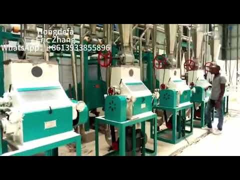 The Secret to Processing 50 Tons of Corn Daily! Full Auto Maize Milling Line Revealed