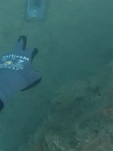 #scubadiving #treasure #underwater #fyp | scuba diving
