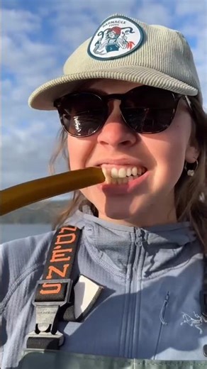 அலாஸ்காவை காப்பாற்றும் கடல் தாவரம் 😱🤯💥#shortstamil #shortclip