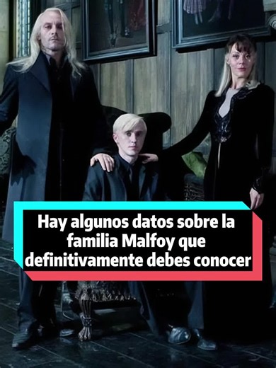 Hay algunos datos sobre la familia Malfoy que definitivamente debes conocer.#tiktokscaryhorrorcontest#HarryPotter#magic#foryou#fyp