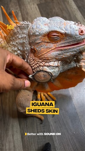 I bet that felt so good 😅 | JOE.co.uk