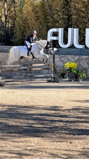 Minivlog competition 🐴💜 @EquiydUK Day 1 🐴 #horse #equestrian #showjumping #horseriding #fypシ