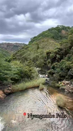 Welcome to Zimbabwe 🇿🇼 Welcome to the Highlands of Nyanga National Park, where Mother Nature truly lives. Imagine waking up early in the rainy season. You walk quietly under tall trees as cool droplets fall gently from the leaves, touching your skin and waking your soul. The grass is still wet, brushing against your legs as you move deeper into the bush. You begin an early-morning mountain hike. Birds sing their songs just for you. Frogs echo from nearby streams. Rivers flow softly, and the ra