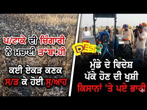 ਮੁੰਡੇ ਦੇ ਵਿਦੇਸ਼ ਪੱਕੇ ਹੋਣ ਦੀ ਖੁਸ਼ੀ ਕਿਸਾਨਾਂ 'ਤੇ ਪਏ ਭਾਰੀ ਪ/ਟਾਕੇ ਦੀ ਚਿੰਗਾਰੀ ਨੇ ਮਚਾਈ ਤ*ਬਾ.ਹੀ