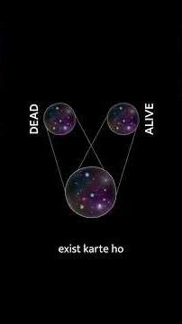 The cat that broke science #ParallelUniverses #Einstein #QuantumPhysics #SchrodingersCat