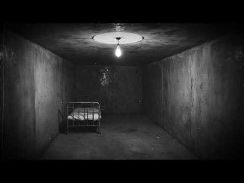 The Father Who Created a Hidden Underground Prison Beneath His Family Home | The Josef Fritzl Case