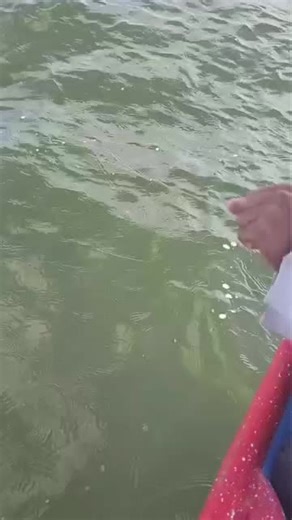 Essential Fishing Tips for Successful Angling