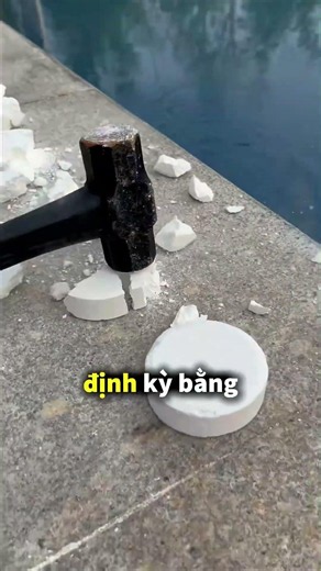 Viên Clo được thêm vào để giữ cho nước hồ bơi sạch sẽ 🤯