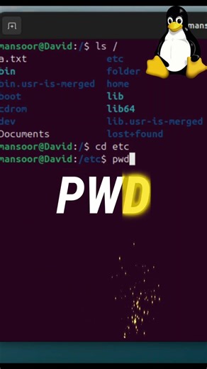 4 Essential Linux Commands Every Beginner Should Know #linuxbasics #linuxcommandlinetutorial #linux