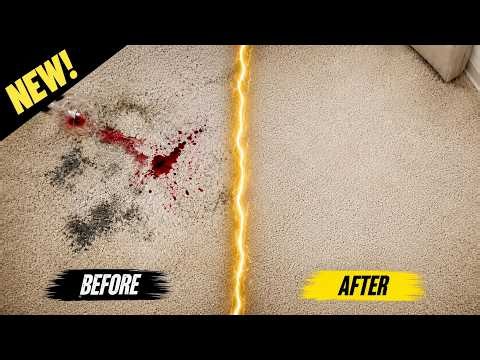 Remove Carpet, Seat, and Floor Mat Stains Fast