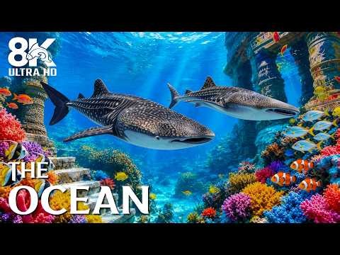 Underwater Paradise 8K 🐠 | Explore Crystal Blue Waters, Colorful Tropical Fish & Marine Life