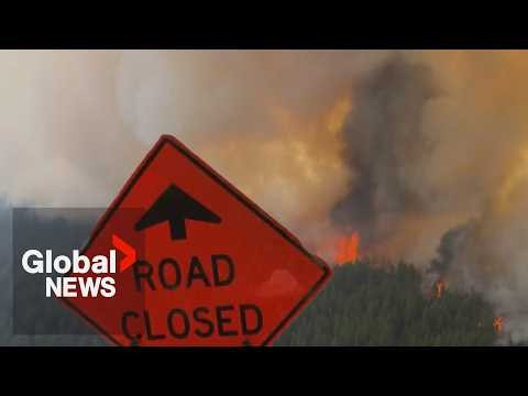 BC wildfires: Flames from Bradley Creek blaze expected to be fanned by gusting winds