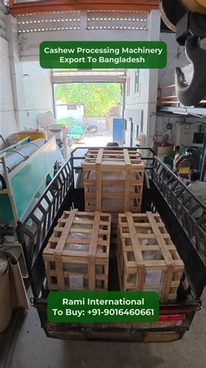 Cashew Processing Machinery Export To Bangladesh🎯 Rami International : 9016460661📞 #cashewprocessing