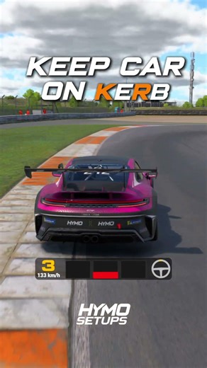 The legendary Gustavo Ariel takes you through T6 - T10 at Zandvoort in the Porsche Cup on iRacing!