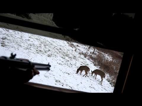 DEER GRENADE💥DEER HUNTING🦌CHAOS ON LAST DAY! 5 Down w/.45 Long Colt .44 Mag Revolver 450 Bushmaster