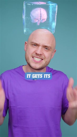 Brain Freeze Isn’t What You Think… (The Science Explained)