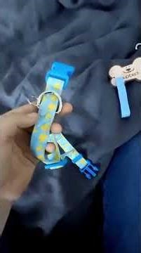 Adorable duck collar, perfect for real or stuffed doggos!