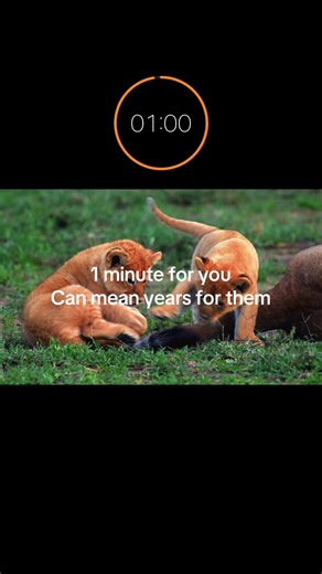 They need help, so lets help! #help #animals | animals