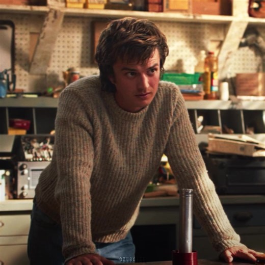 Steve Harrington's Enduring Legacy in Stranger Things