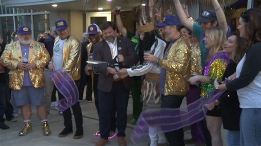 Mobile Mardi Gras kicks off with '12th Night' celebration | WKRG.com