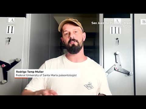 230-million-year-old reptile identified in Brazil