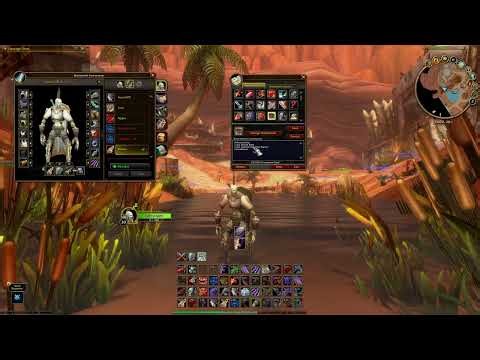 WoW Forever Lvl 30 Warrior Basics: Talents, Macros, Addons, BiS Gear & More!